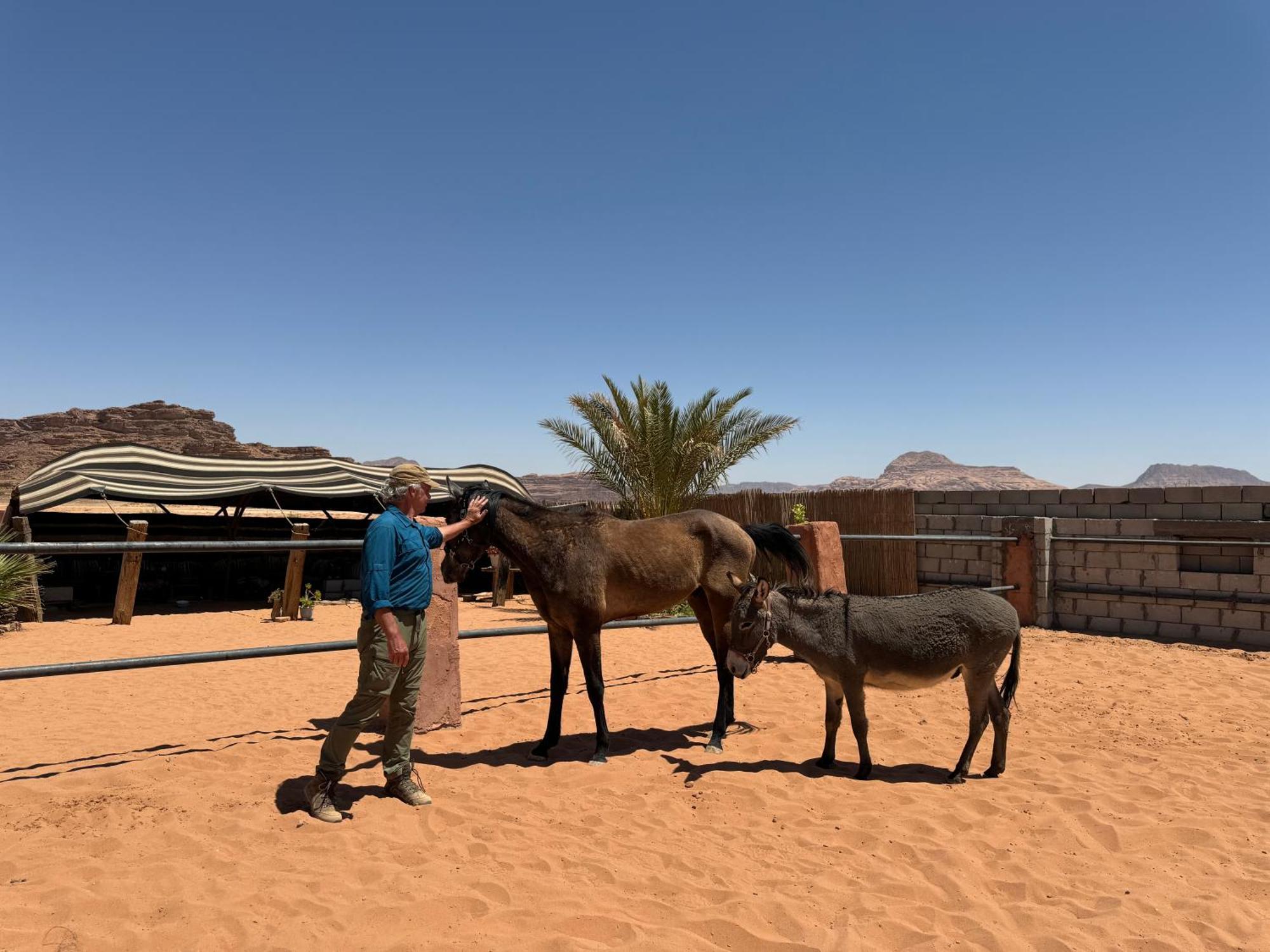شقة Pink Spirit Wellness Farm Ad Disah المظهر الخارجي الصورة